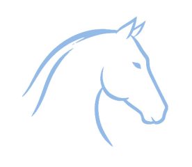 Equine assisted services-t